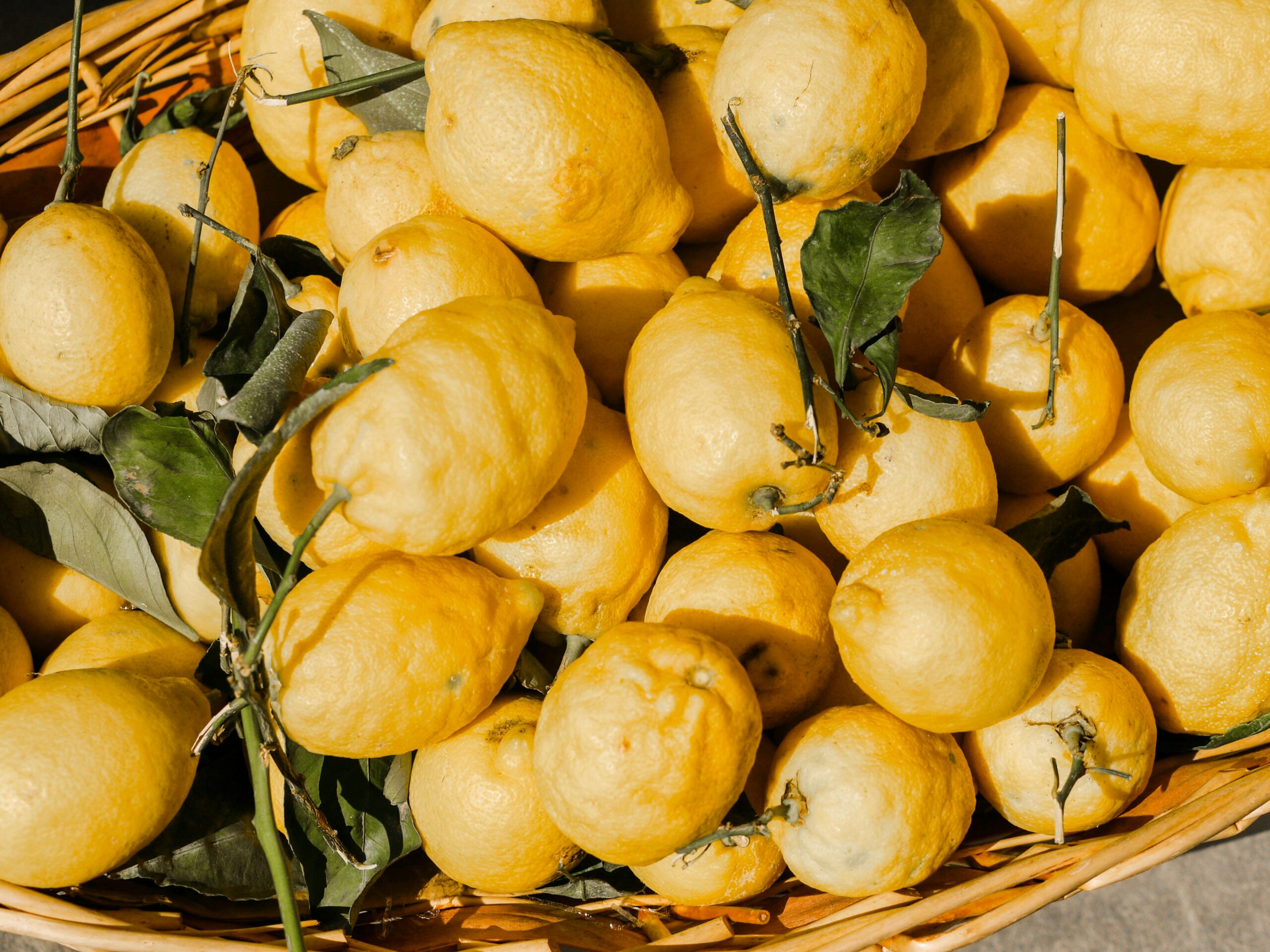Babà al Bergamotto - immagine 2